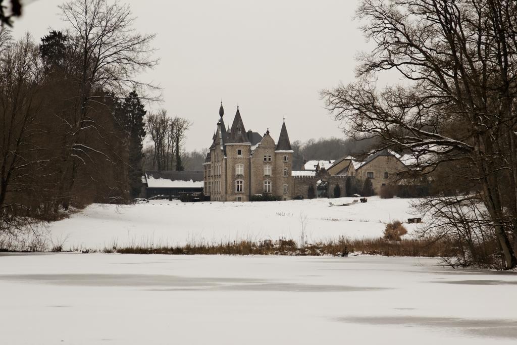 Chateau D'Hassonville Aye Екстер'єр фото
