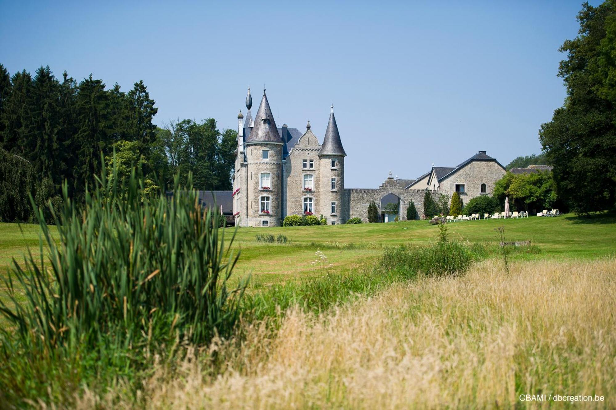 Chateau D'Hassonville Aye Екстер'єр фото