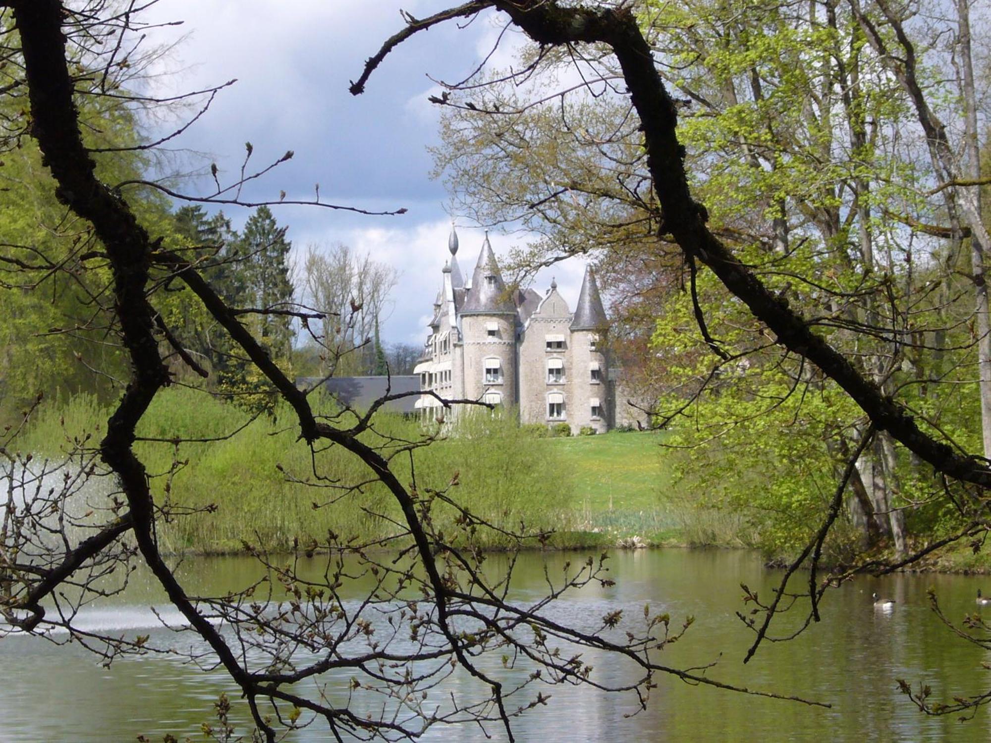 Chateau D'Hassonville Aye Екстер'єр фото