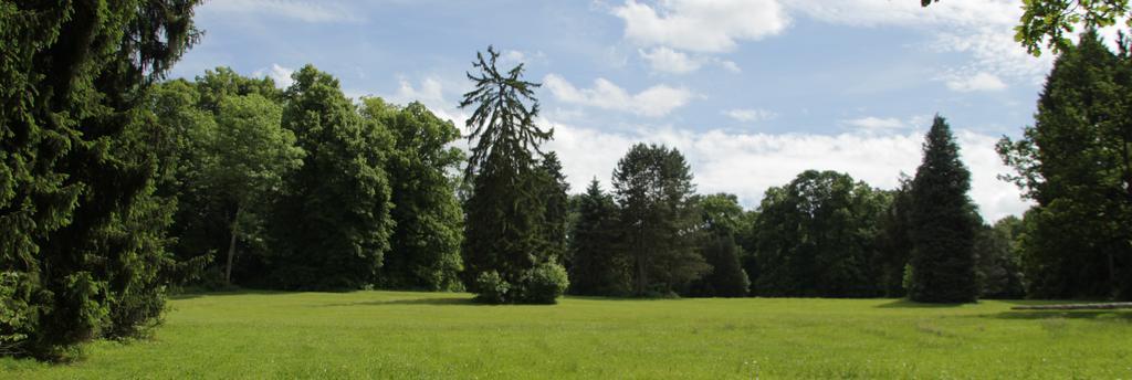 Chateau D'Hassonville Aye Екстер'єр фото
